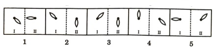 Analogy in Non Verbal Reasoning mcq question image Analogy in Non Verbal Reasoning mcq question image