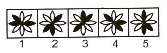Classification in Non Verbal Reasoning mcq question image Classification in Non Verbal Reasoning mcq question image