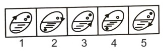 Classification in Non Verbal Reasoning mcq question image Classification in Non Verbal Reasoning mcq question image