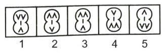 Classification in Non Verbal Reasoning mcq question image Classification in Non Verbal Reasoning mcq question image