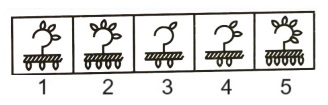 Classification in Non Verbal Reasoning mcq question image Classification in Non Verbal Reasoning mcq question image