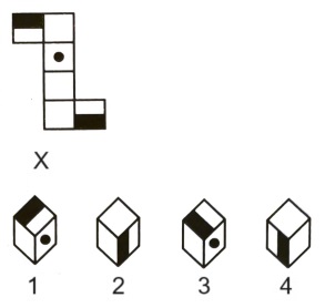 Cubes and Dice mcq question image
