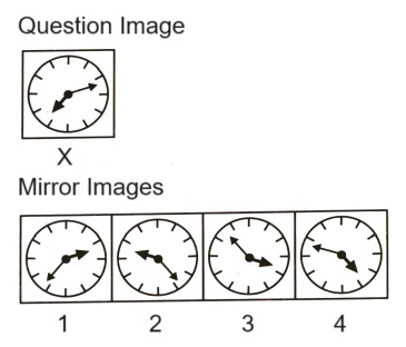 Mirror Images mcq question image