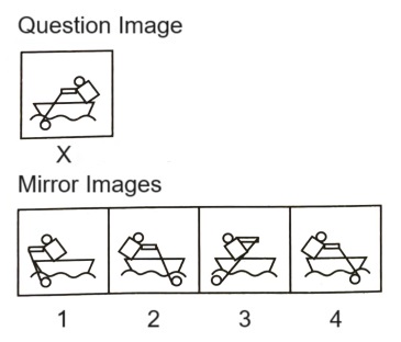 Mirror Images mcq question image