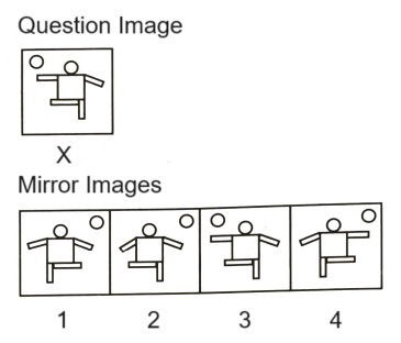 Mirror Images mcq question image