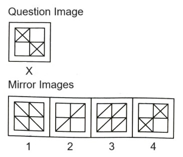 Mirror Images mcq question image