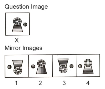 Mirror Images mcq question image