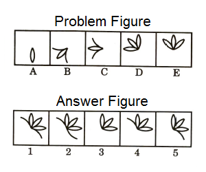 Series in Non Verbal Reasoning mcq question image Series in Non Verbal Reasoning mcq question image