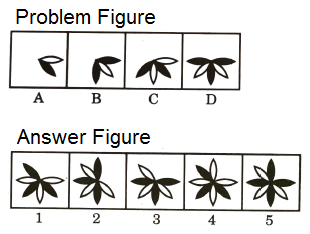 Series in Non Verbal Reasoning mcq question image Series in Non Verbal Reasoning mcq question image
