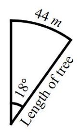 Trigonometry mcq question image Trigonometry mcq question image