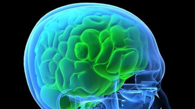 For the first time scientists predict brain activity patterns