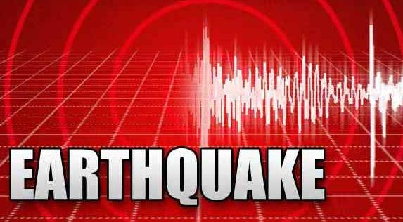 Japanese scientists detect rare deep-Earth tremor S wave microseism