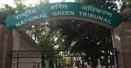 Cancel illegal salt pans in Sambhar Lake: NGT