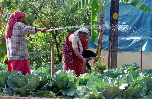 Sikkim becomes India’s first organic state