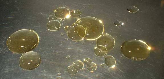 Scientists to undertake field trials of Oil-degrading bacteria in Kochi