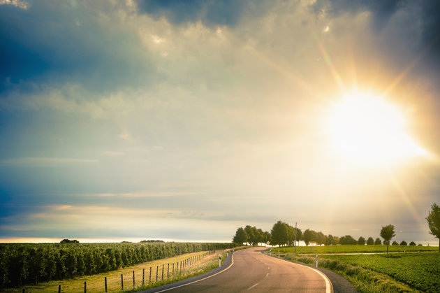 Scientists create Bionic leaf that turns sunlight into liquid fuel