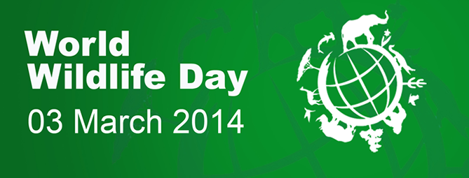 3rd March: World Wildlife Day