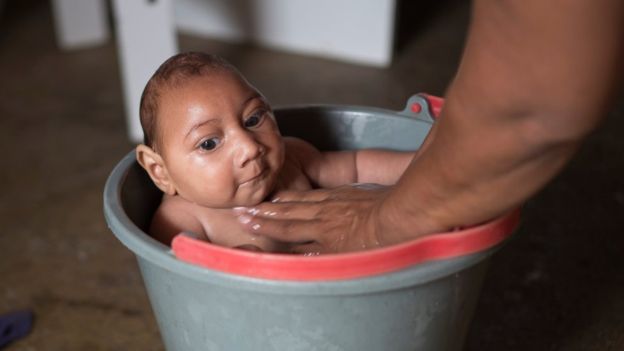 Scientists develop world’s first Zika virus clone