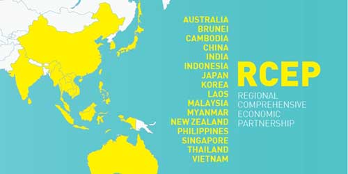 RCEP members worry over market access to China