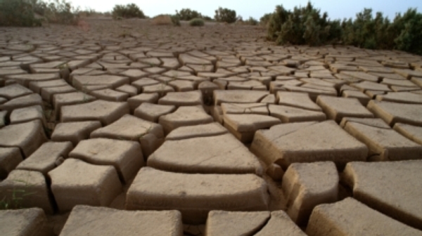 2016 will be hottest year on record