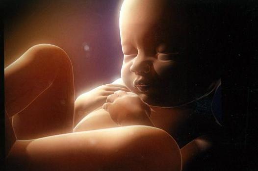 Indian scientists unlock preterm birth mystery
