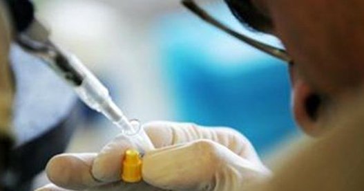 Scientists discovers protein PorB that increases effectiveness of vaccines against cancer