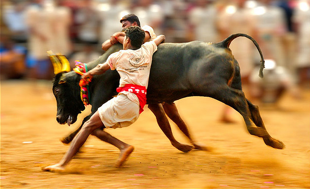 Tamil Nadu Assembly unanimously passes Jallikattu Bill