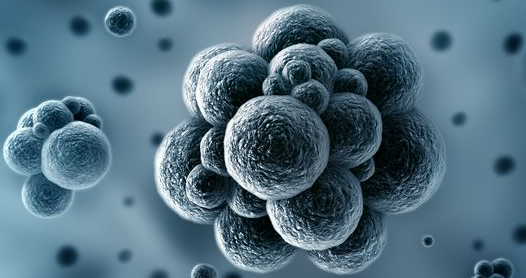 Scientists creates world’s first stable semi-synthetic organism