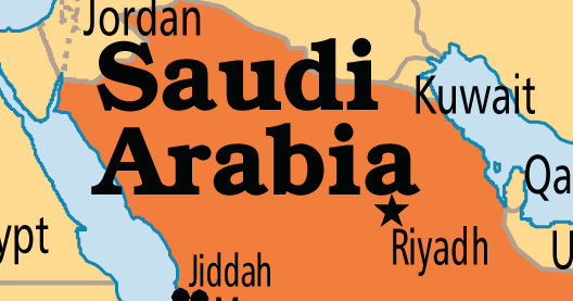 Saudi Arabia: King names Son as new Crown Prince