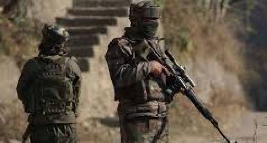 Biggest Combing Operation in 15 years conducted in South Kashmir