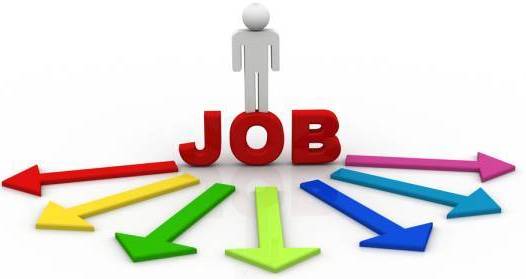 Government Sets Up Task Force for Reliable Employment Data